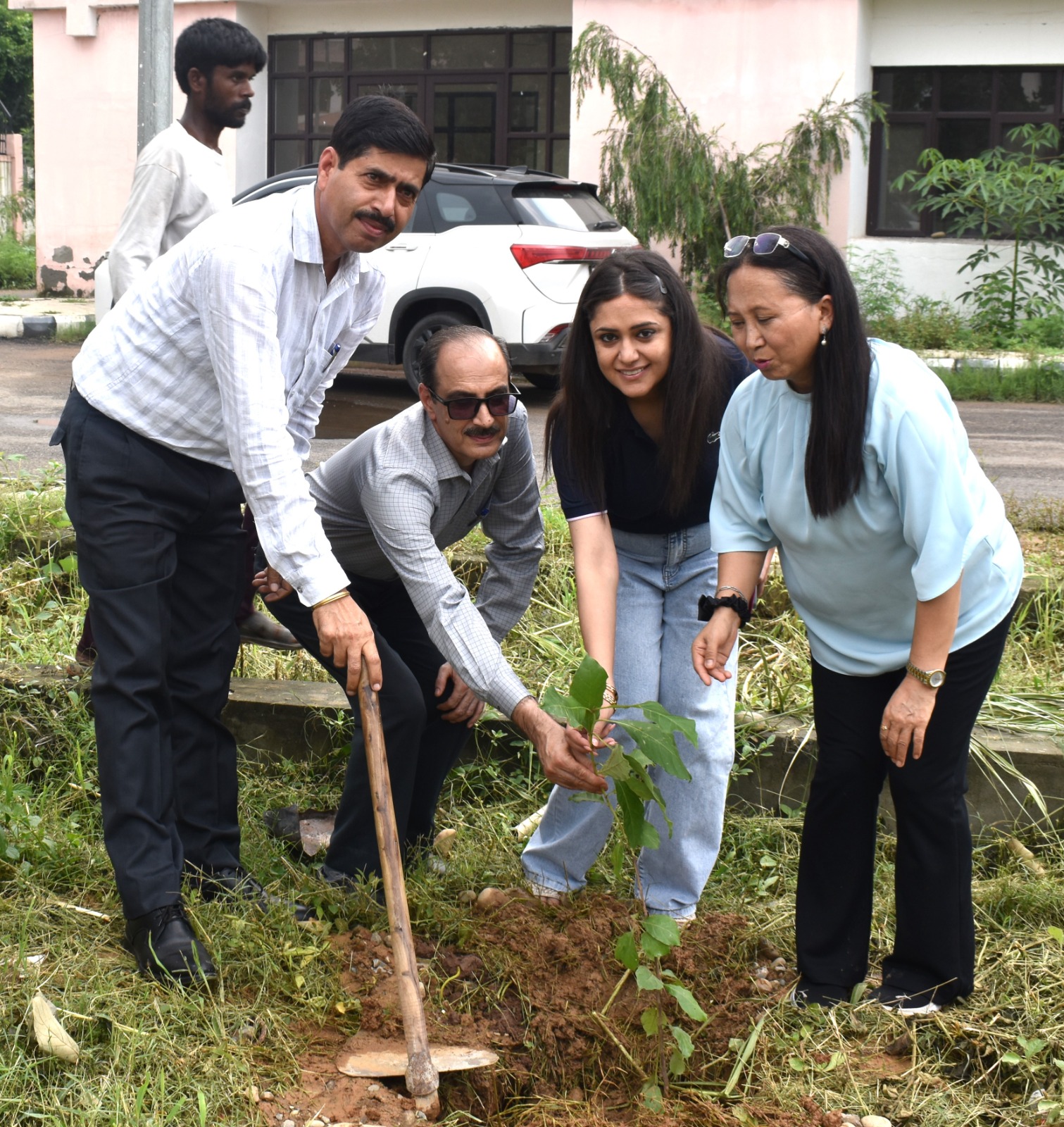 Plantation Drive